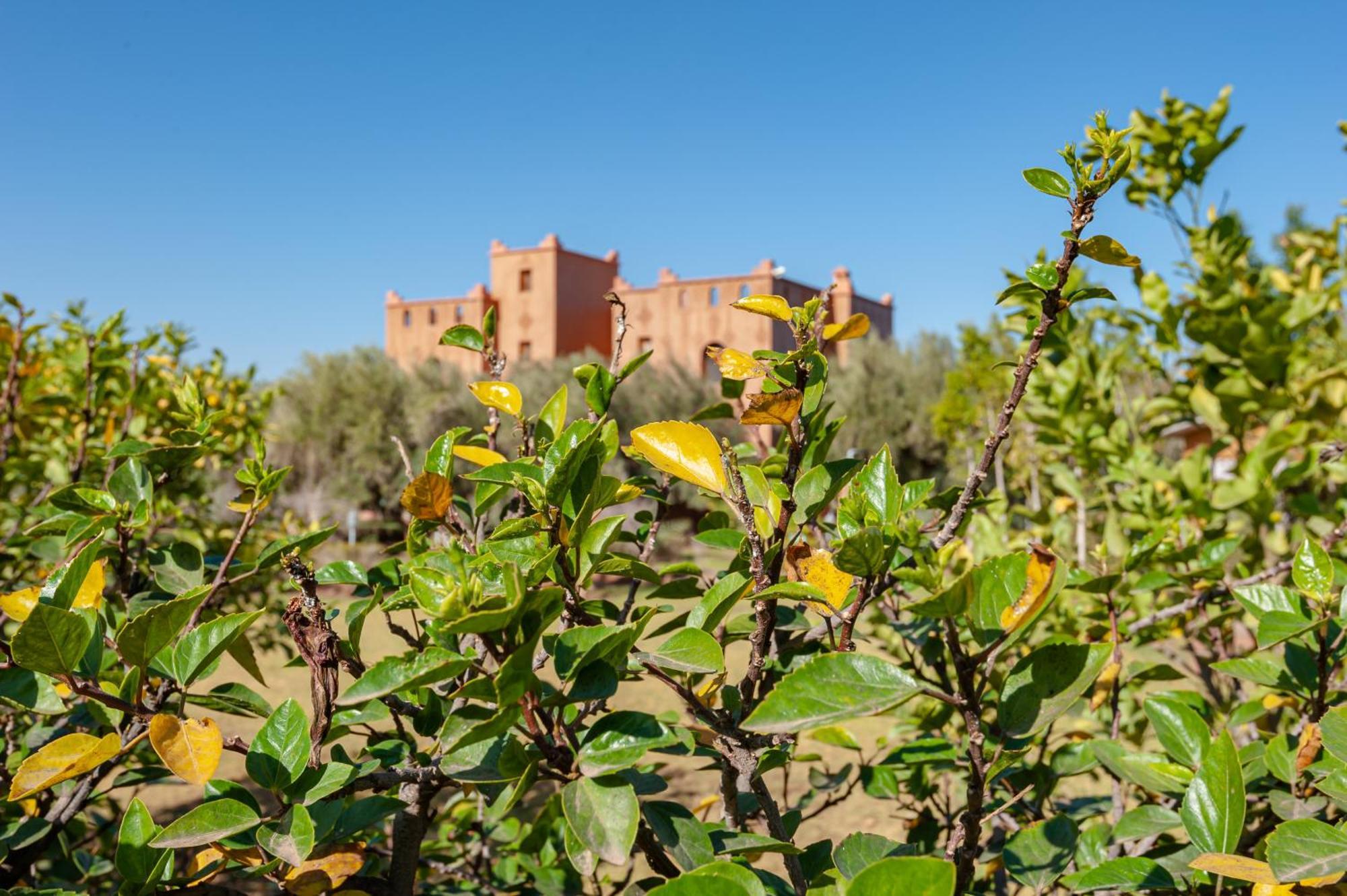 Ferme Sidi Safou & * Marraquexe