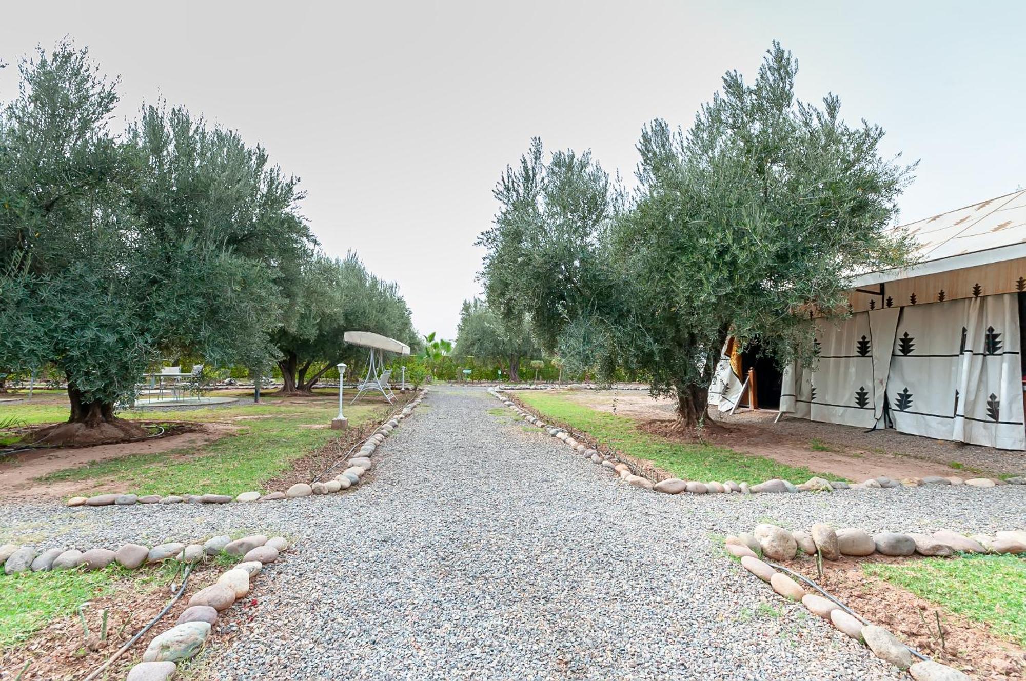 Alojamento de Turismo Rural Ferme Sidi Safou & *