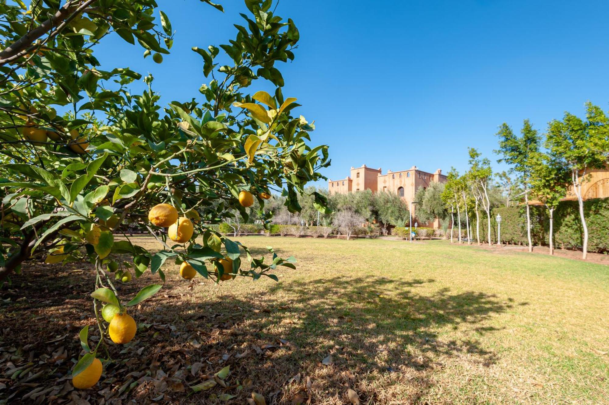 Ferme Sidi Safou & Alojamento de Turismo Rural