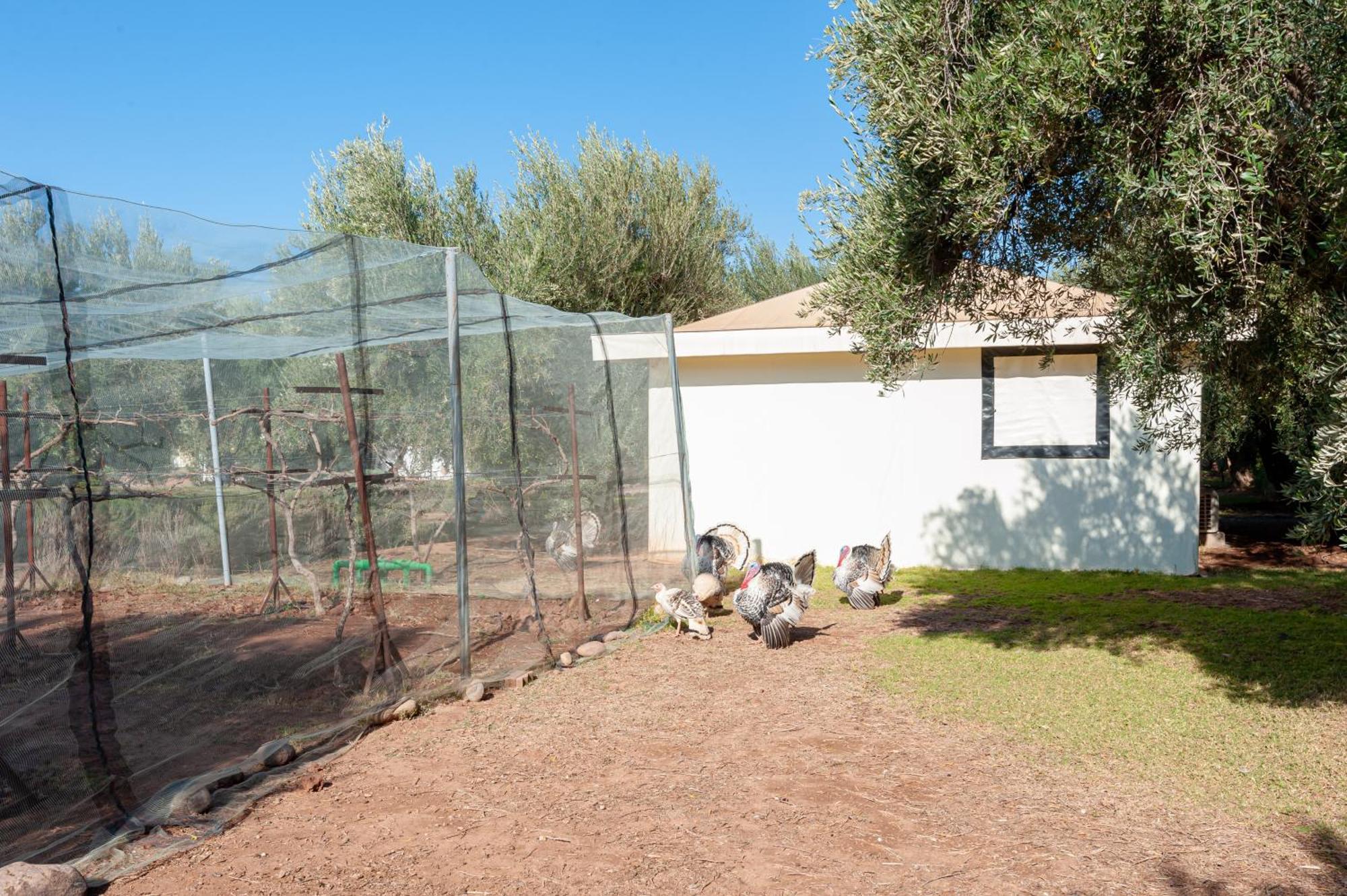 Ferme Sidi Safou & Alojamento de Turismo Rural Marraquexe