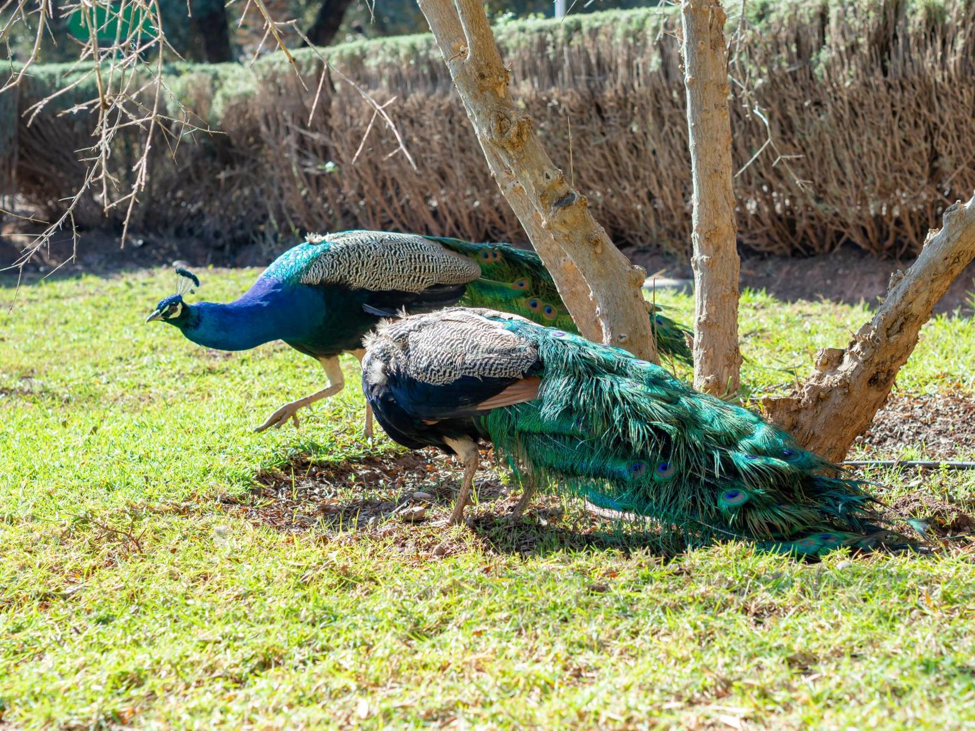 Agroturismo Ferme Sidi Safou & *